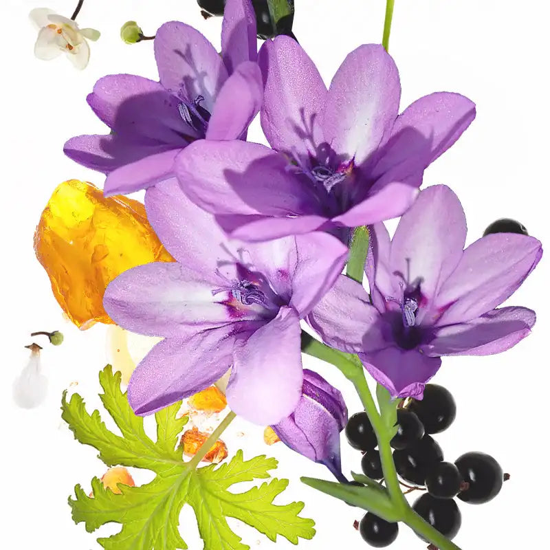 KOEC Moon Violet 50ml Refreshing Fragrance Mist