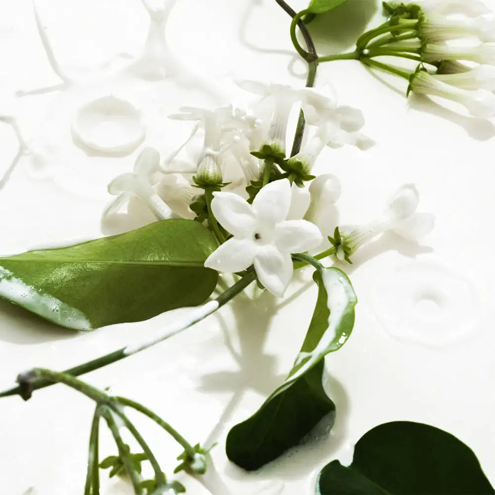 KOEC 50ml Jasmine Vanilla Lemon Perfume Mist