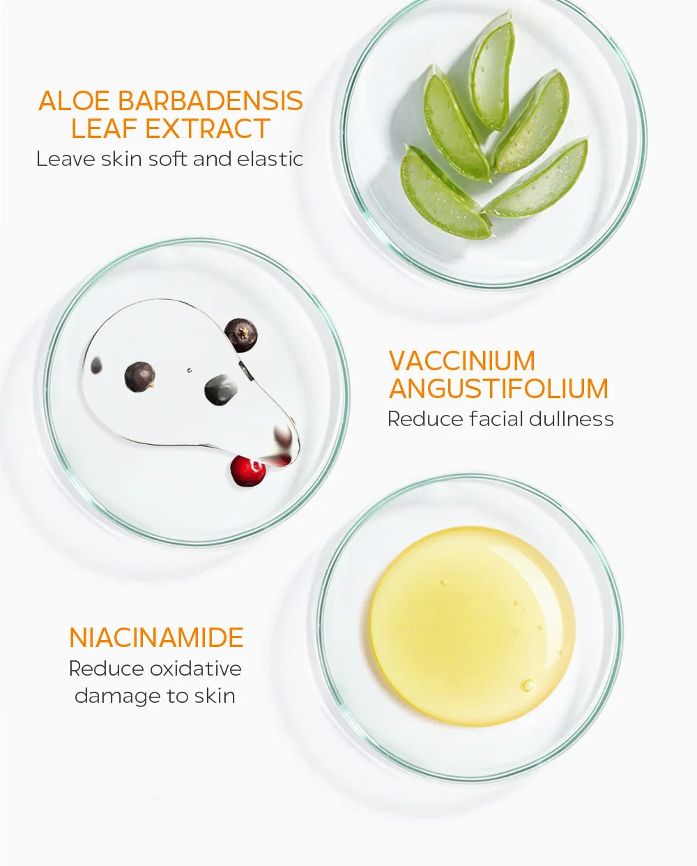 Vitamin C Facial Cleanser