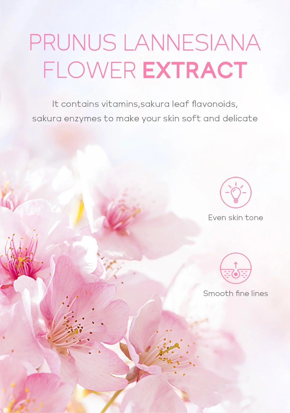 Cherry Blossom Face Peeling Gel