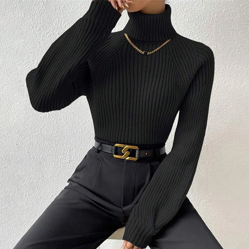 Soft Turtleneck Knit Pullover