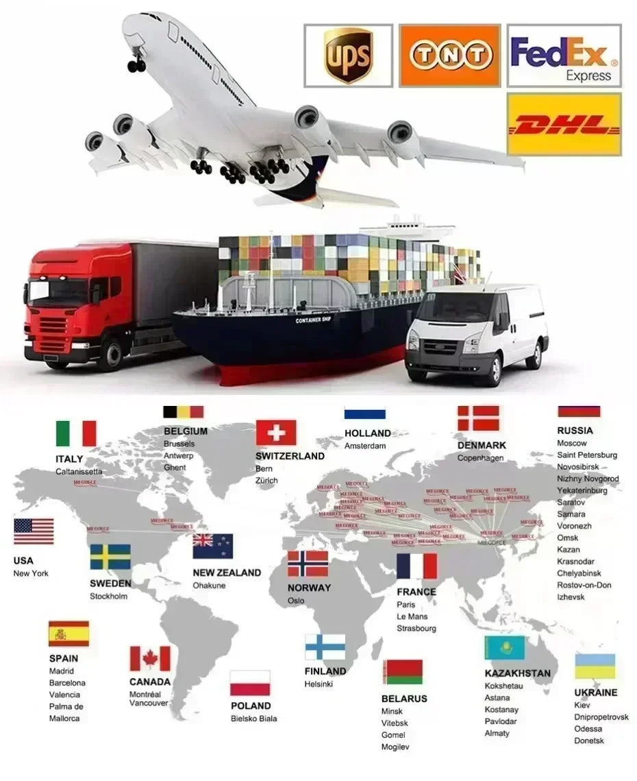 Graphic Embroidered Hoodie