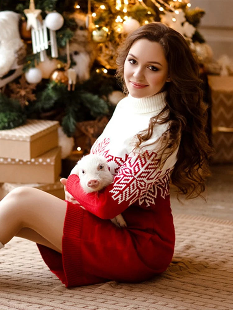 Turtleneck Sweater Dress