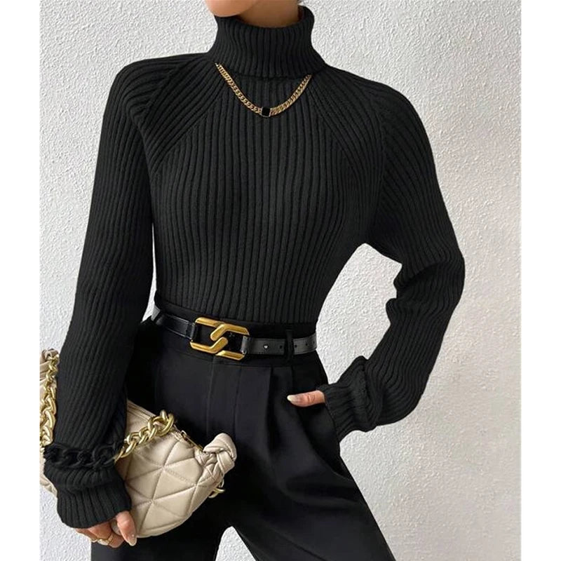 Soft Turtleneck Knit Pullover