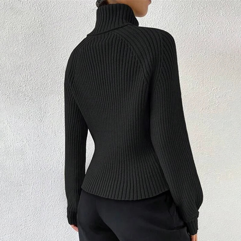 Soft Turtleneck Knit Pullover